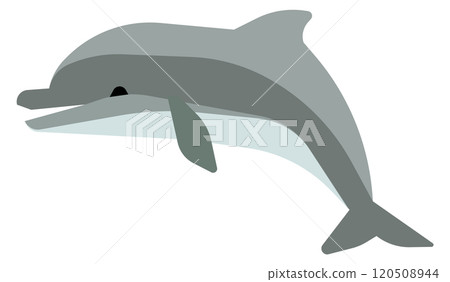 Dolphin color icon. Marine animal. Cute wild fauna 120508944