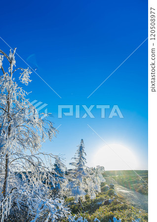 Utsukushigahara's frost-covered trees and sunset Utsukushigahara's frost-covered trees and sunset 120508977