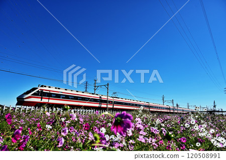 Cosmos and express train Cosmos and express train 120508991
