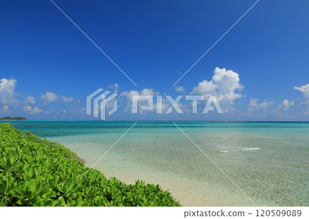 The beautiful gradation of the ocean in Miyakojima 120509089