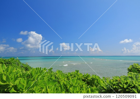 The beautiful, clear seascape of Miyakojima, a place filled with a tropical atmosphere 120509091