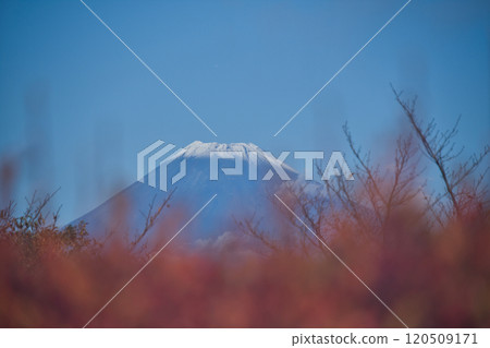 從達磨山高原看到的富士山 120509171