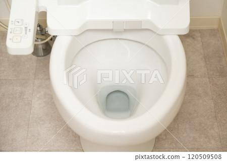 Western style flush toilet 120509508