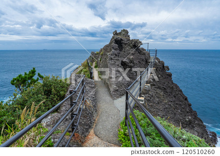 Kumano Shrine at the tip of Cape Irozaki, Minamiizu Town, Shizuoka Prefecture Kumano Shrine at the tip of Cape Irozaki, Minamiizu Town, Shizuoka Prefecture 120510260