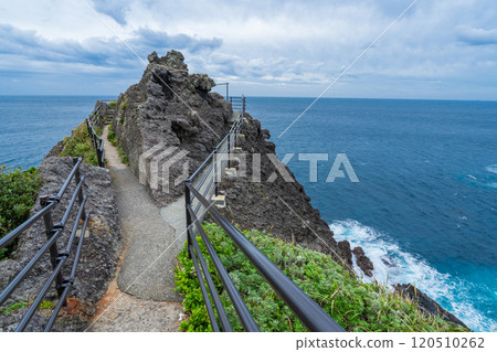 Kumano Shrine at the tip of Cape Irozaki, Minamiizu Town, Shizuoka Prefecture 120510262