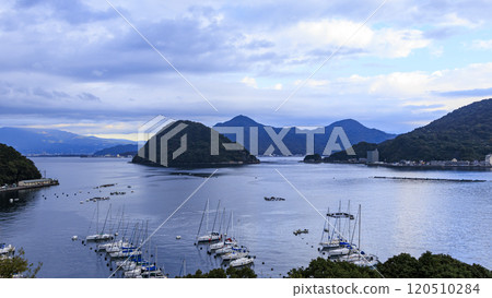 靜岡縣沼津長濱城遺址的秋天 120510284