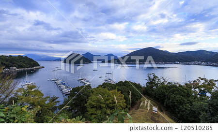 靜岡縣沼津長濱城遺址的秋天 120510285