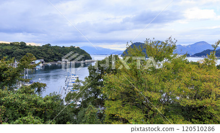 靜岡縣沼津長濱城遺址的秋天 120510286
