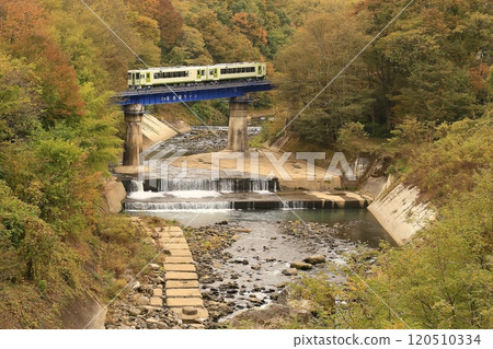 Koyama Line of autumn leaves 120510334