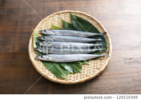 竹漏勺中的新鮮秋刀魚 120510399