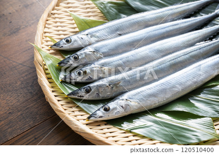 竹漏勺中的新鮮秋刀魚 120510400