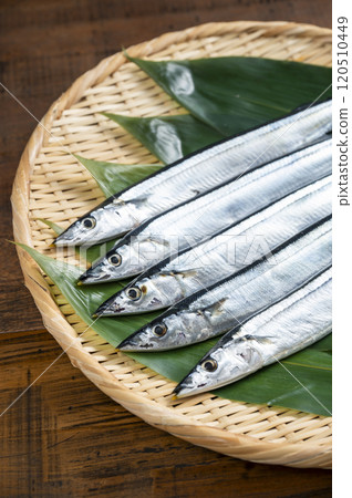 Fresh pacific saury served on a bamboo basket Fresh pacific saury served on a bamboo basket 120510449