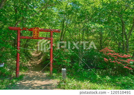 Torii of Mt. Kurokabishan shrine of Haruna mountain (Soma) in Gunma prefecture (near prefectural road No. 33) 120510491