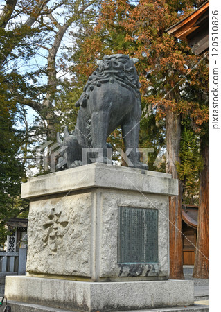 Komainu (guardian lion) at Suwa Taisha Shimosha 120510826