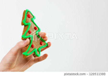 Woman hand holding christmas tree cookie Woman hand holding christmas tree cookie 120511380