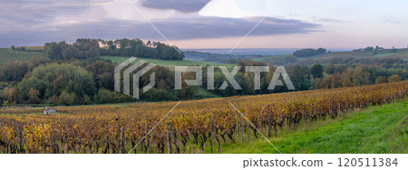 FRANCE, GIRONDE, ENTRE DEUX MERS VINEYARDS, STONE CABIN WITH AUTUMN COLORS 120511384