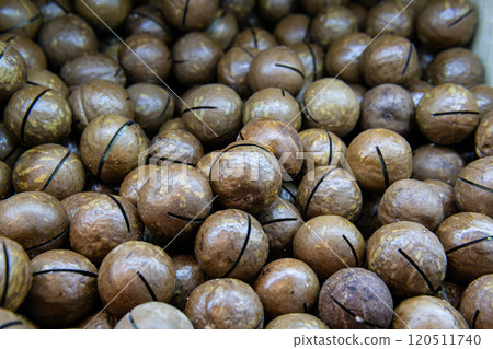 snack seed ingredient cooking - food organic macadamia no people nut nutshell freshness 120511740