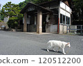 博備線當地車站寶野站的貓 120512200