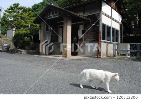 博備線當地車站寶野站的貓 博備線當地車站寶野站的貓 120512200