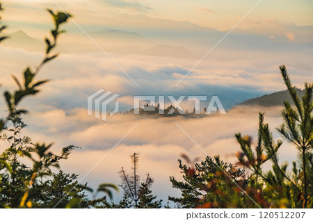 A sea of clouds bathed in the morning sun [Hirotsu, Ikeda-cho, Kitaazumi-gun] 120512207