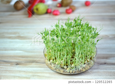 Peas microgreens with seeds and roots in a bowl cultivated at home. Peas microgreens with seeds and roots in a bowl cultivated at home. 120512265