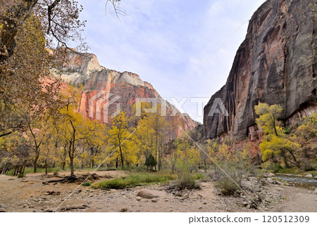 Zion National Temple of Sinawava, Virgin River banks Zion National Temple of Sinawava, Virgin River banks 120512309