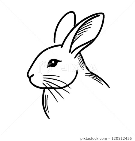 Rabbit face 120512436