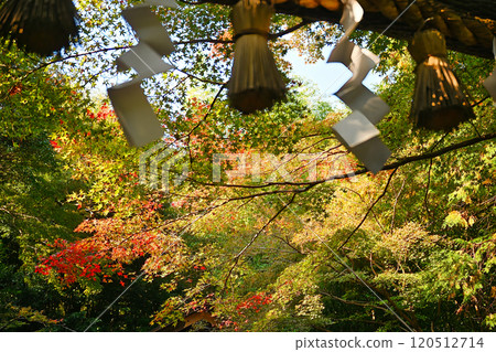 嵐山在秋天 120512714