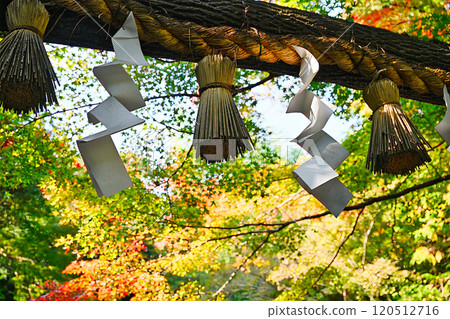 嵐山在秋天 120512716