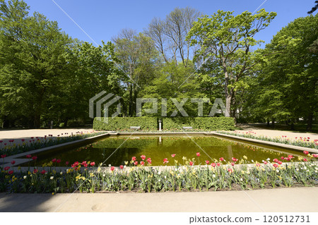 Small pond and flowers in baths park in European Warsaw city in Poland Small pond and flowers in baths park in European Warsaw city in Poland 120512731