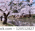 櫻花的風景 120512827