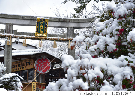 Winter at Jishu Shrine 120512864