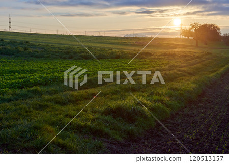 Dramatic Sunset Over Golden Field: Cinematic Landscape with Sun Rays and Vibrant Sky. Breathtaking Rural Scene Blending Summer Greenery and Autumn Hues in Atmospheric Evening Light. Dramatic Sunset Over Golden Field: Cinematic Landscape with Sun Rays and Vibrant Sky. Breathtaking Rural Scene Blending Summer Greenery and Autumn Hues in Atmospheric Evening Light. 120513157
