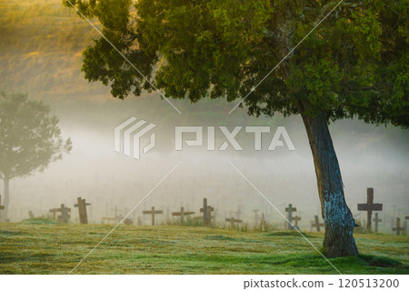 Haze in morning over Sad Hill Cemetery in Burgos, Spain 120513200
