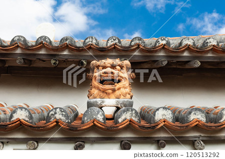 Shisa 和夏天的天空 120513292
