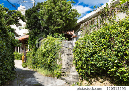 Scenery of the back streets of Tsuboya, Naha City, Okinawa Prefecture 120513293