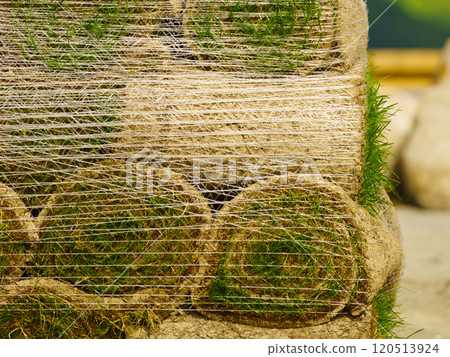 Stacks of sod rolls for new lawn Stacks of sod rolls for new lawn 120513924