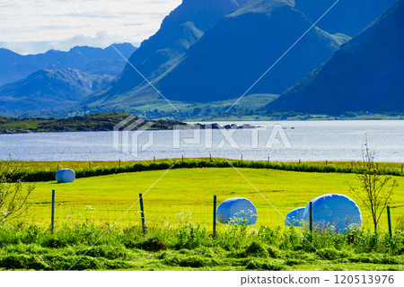 Bale of hay wrapped in plastic foil, Norway 120513976