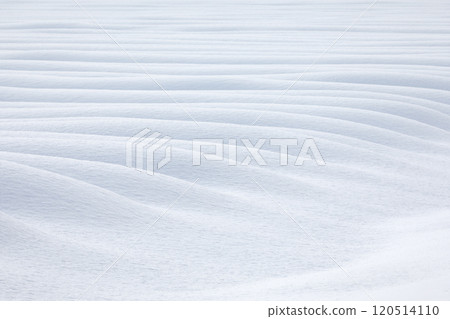 [北海道]雪原之美 120514110