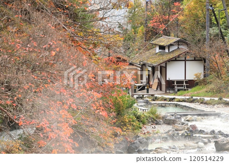 群馬縣草津溫泉西之河原公園 群馬縣草津溫泉西之河原公園 120514229