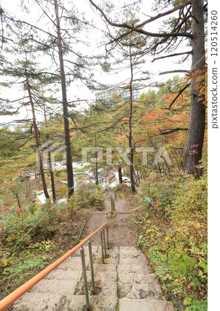 群馬縣草津溫泉西之河原公園 群馬縣草津溫泉西之河原公園 120514260