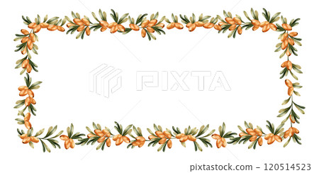 Sea buckthorn branches frame with orange berries and green leaves. Medicinal plant. Watercolor hand drawn floral isolated illustration for fall design, medicinal herbs package, labels, prints, tags 120514523