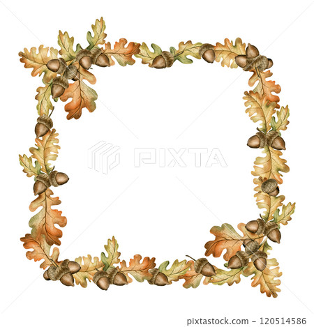 Oak branch with acorns and autumn leaves. Frame. Watercolor hand drawn floral illustration isolated on white background for fall design, botanical cards, cozy prints, floral labels, home decor, tags Oak branch with acorns and autumn leaves. Frame. Watercolor hand drawn floral illustration isolated on white background for fall design, botanical cards, cozy prints, floral labels, home decor, tags 120514586