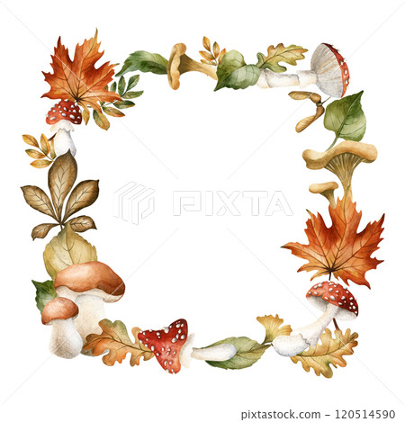 Mushrooms and autumn leaves. Frame of boletus, fly agaric, chanterelles, maple, oak, rowan, birch and chestnut. Watercolor hand drawn floral isolated illustration for fall design, cozy labels, prints 120514590