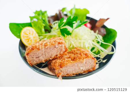 Minced tuna cutlet 120515129