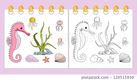 Coloring book Underwater Seabed Ocean Sea habitat 120515930