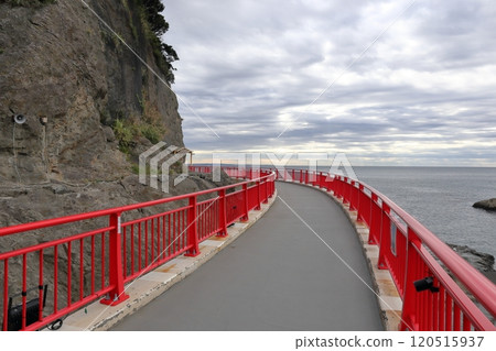 江之島 江之島 120515937