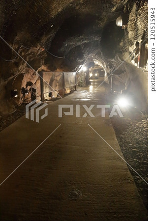 江之島 江之島 120515943