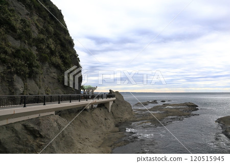 江之島 江之島 120515945