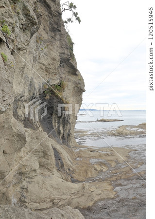 Enoshima Enoshima 120515946